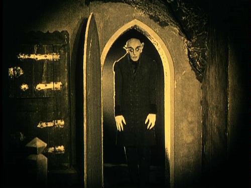 Лилейник nosferatu носферату описание зона зимостойкости