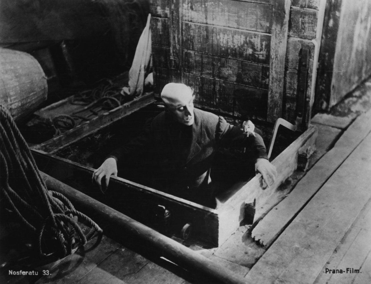 Лилейник nosferatu носферату описание зона зимостойкости