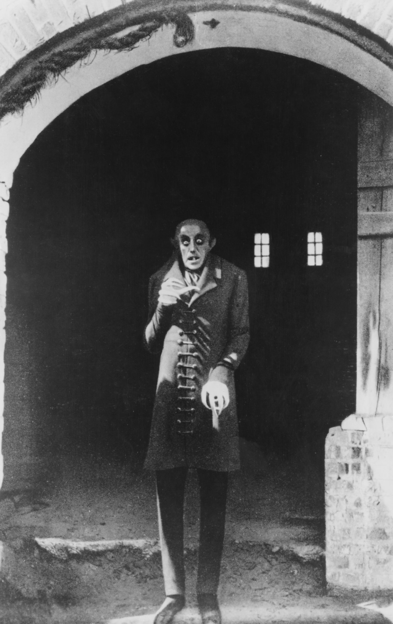 Лилейник nosferatu носферату описание зона зимостойкости